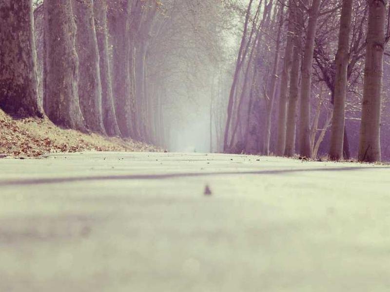 Full-Stack Web Dev Roadmap 230