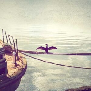 Photography Fundamentals 233