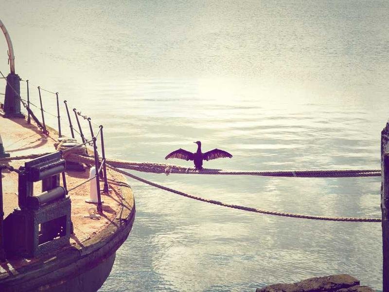 Photography Fundamentals 233