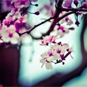 Finance for Founders 236