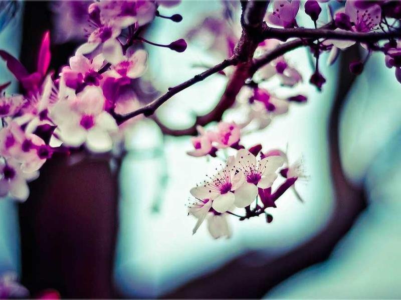 Finance for Founders 236