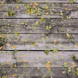 3D & Animation in Blender 239