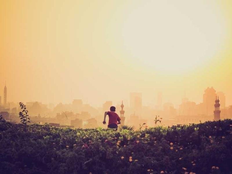 Content Writing Pro 244