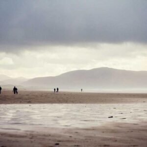 English Speaking Booster 313