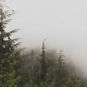 Social Media Ads Lab 321