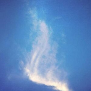 Business Ops Toolkit 335