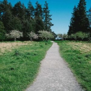 Blue Team Security 341