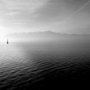 Content Strategy Studio 344