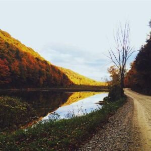 Motion Graphics Lab 348